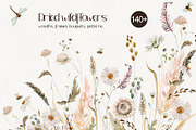 Dried Wildflowers Collection, a Decorative Illustration by TanyaOak (Thumbnail 1 of 9)