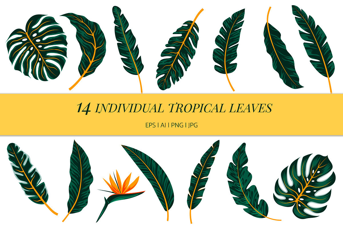 Tropical seamless patterns & leaves, a Pattern Graphic by EltaMaxArt (Photo 13 of 15)