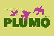 Plumo - Playful Chunky Display Font, a Sans Serif Font by ethylene.creative (Thumbnail 1 of 13)