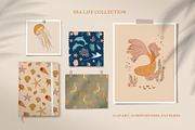 Sea Life Collection, an Animal Illustration by Nadezhda Mikhailova (Thumbnail 2 of 18)