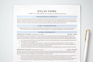 Professional Resume Template Simple