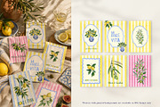 Amalfi Lemon Mediterranean Clipart, a Decorative Illustration by SunnJaneArt (Thumbnail 6 of 17)