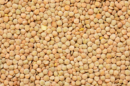 Organic green lentils texture, top  view. Close-up., a Food & Drink Photo by LiudmylaChuhunova