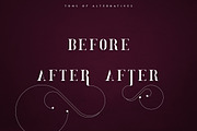 VENDEE - Serif font, a Serif Font by VP Fonts (Thumbnail 7 of 9)