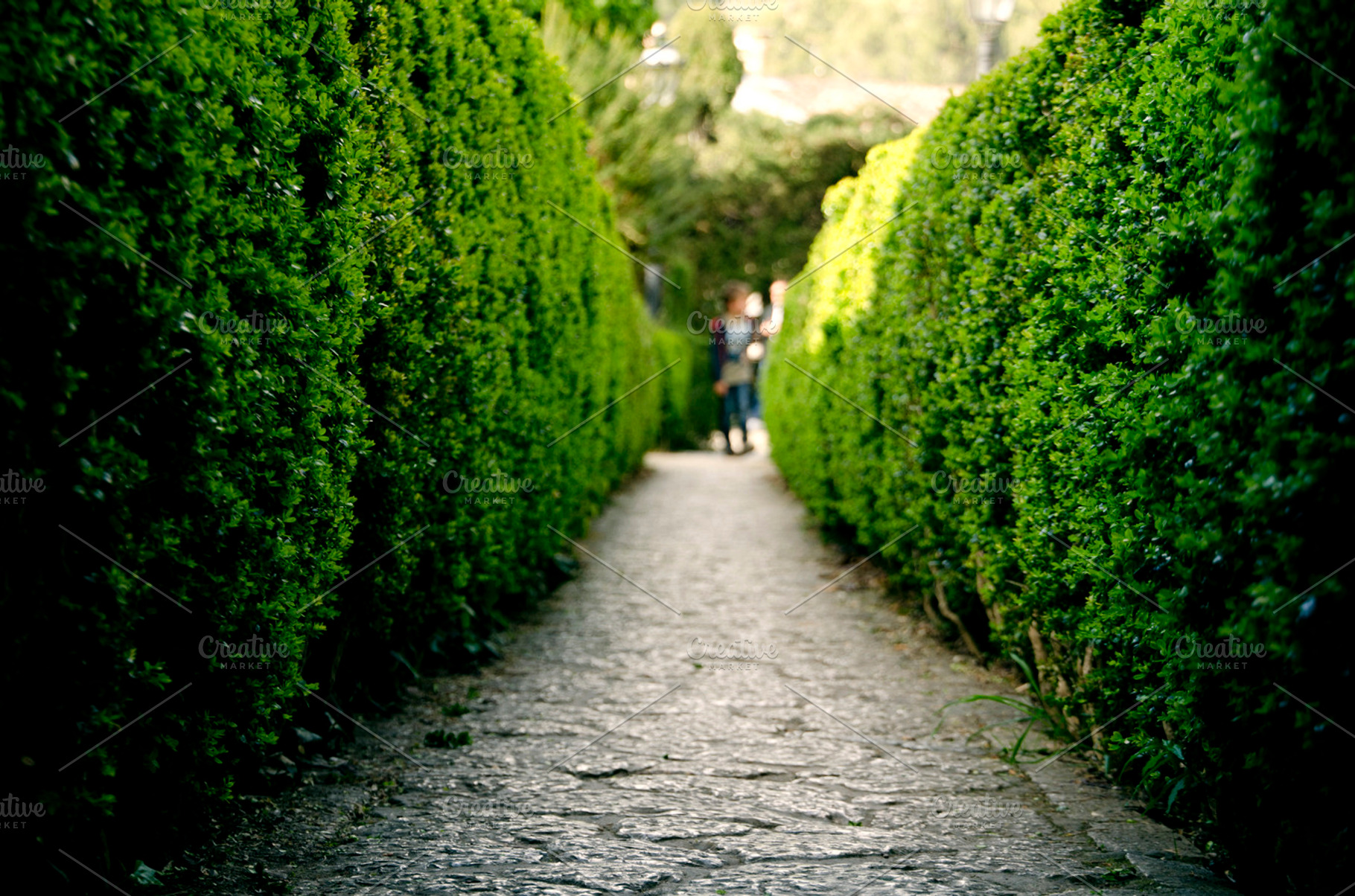 The way stock photograph, a Holiday Photo by Yerco Bazaez