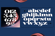 Plank Rollouts Display, a Serif Font by Areatype (Thumbnail 5 of 6)