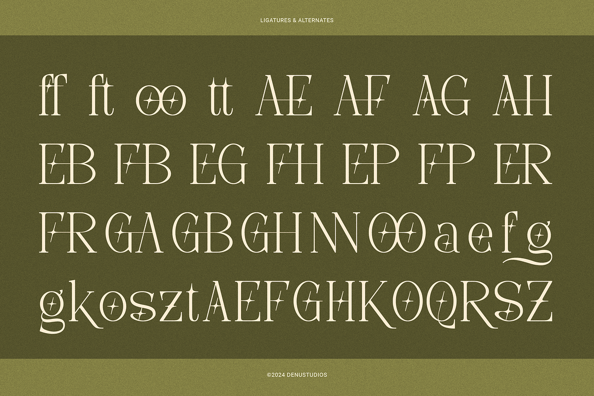 Frieren La Belle | Modern Serif, a Serif Font by Denustudios (Photo 12 of 13)