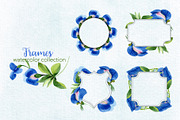 Sweet pea flowers Watercolor png, an Illustration by WatercolorPNG.com (Thumbnail 2 of 10)