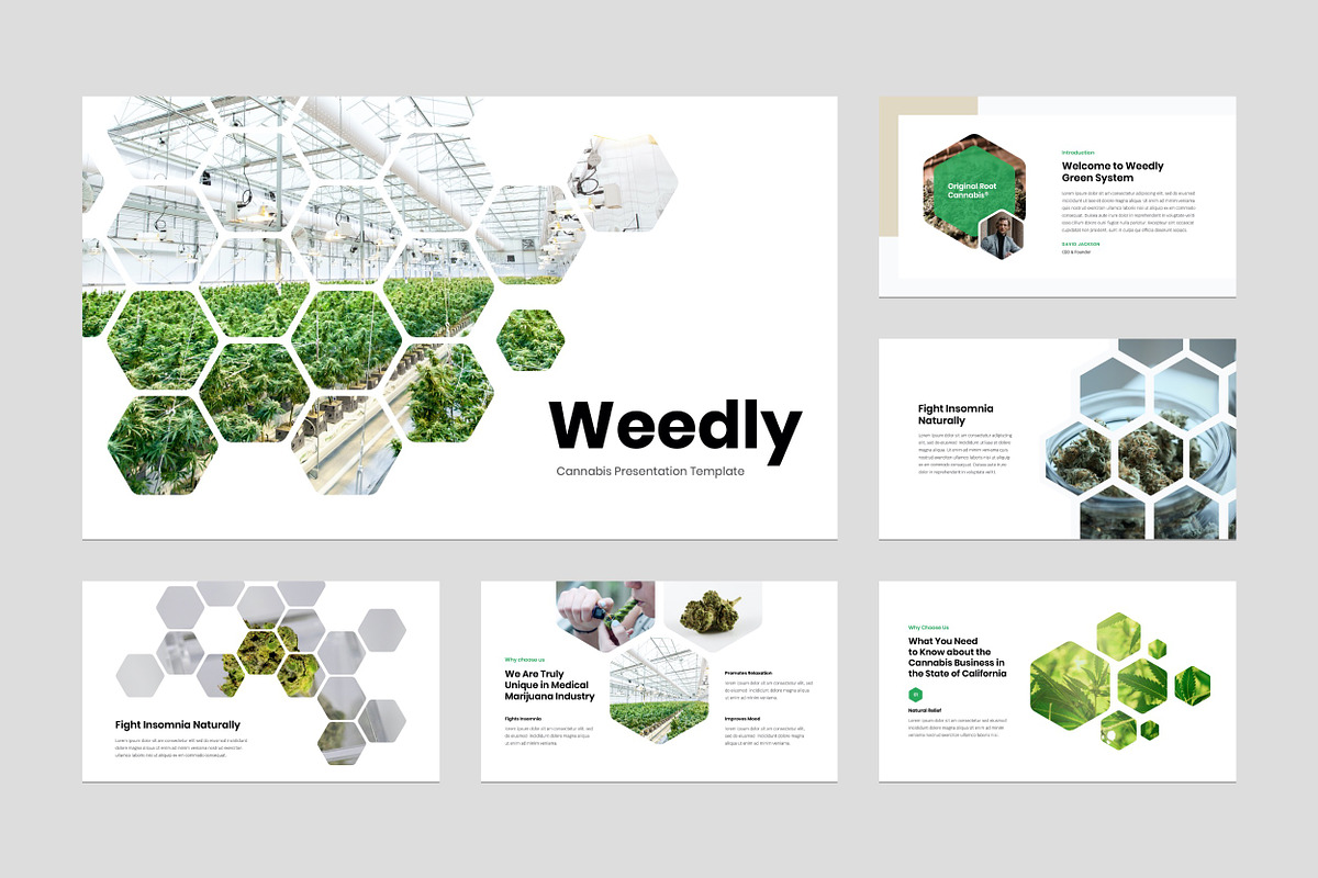 Cannabis PowerPoint Template, a Presentation Template by Flat Icons