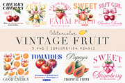 Vintage Fruit PNG Sublimation, a Food Illustration by LemonDesign (Thumbnail 1 of 13)