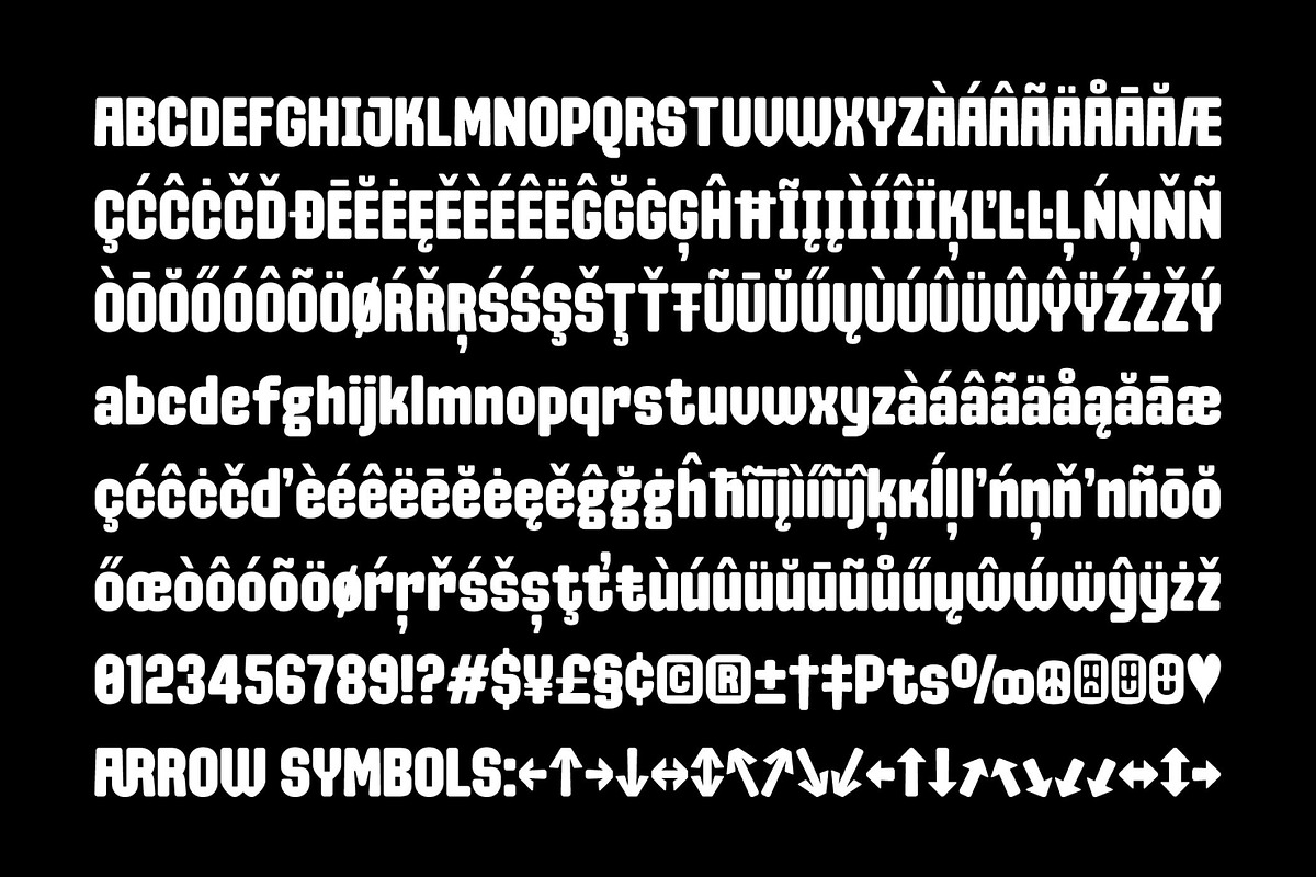 Channel Is Back - Bold Display Font, a Sans Serif Font by Prioritype Co (Photo 10 of 10)