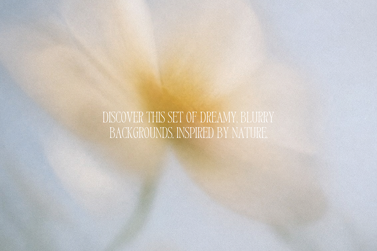 Dreamy Blurry Flower Backgrounds, a Background Graphic by Refancy (Photo 2 of 12)