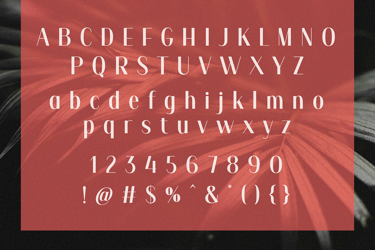 Mikimire - Elegant Sans Serif, a Sans Serif Font by Typeformers (Photo 5 of 5)
