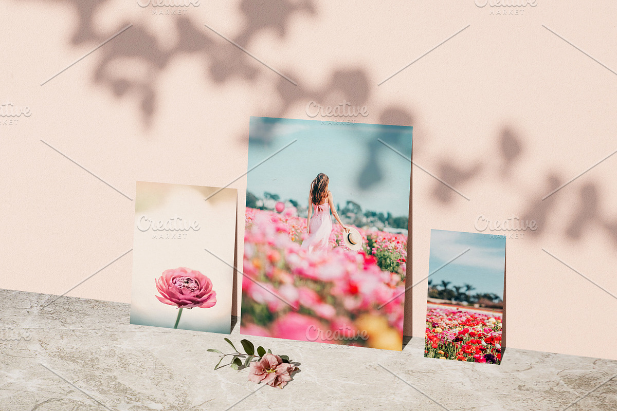 Dreamy Flower Fields Photo Bundle, a Nature Photo by Munopia (Photo 5 of 5)
