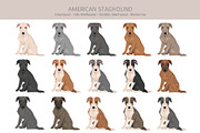 American Staghound dog, an Animal Illustration by pet design shop (Thumbnail 4 of 6)