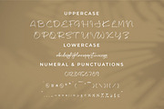 Shaquetta Torelly, a Handwritten Font by Integritype Studio (Thumbnail 9 of 15)