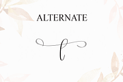 Sometime | Script Font, a Handwritten Font by Scratchones (Thumbnail 8 of 9)