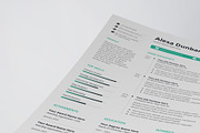 Professional Resume/CV Template, a Resume Template by HueNestify (Thumbnail 2 of 4)