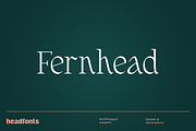 Fernhead Decorative Serif Font, a Serif Font by Headfonts (Thumbnail 1 of 11)
