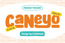 Caneyo Playful Display Font
