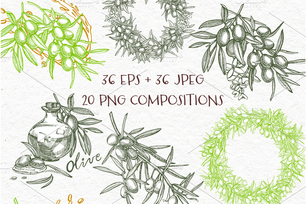 Olive branches vector illustration, a Food Illustration by Ann Astro (Photo 4 of 7)