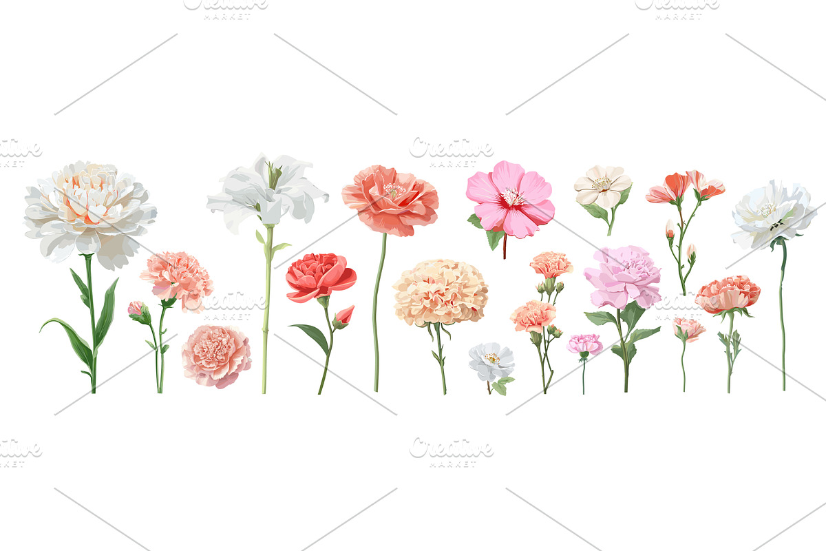 Flower set cartoon. Garden pink red, an Object Illustration by Stock-Smart-Start