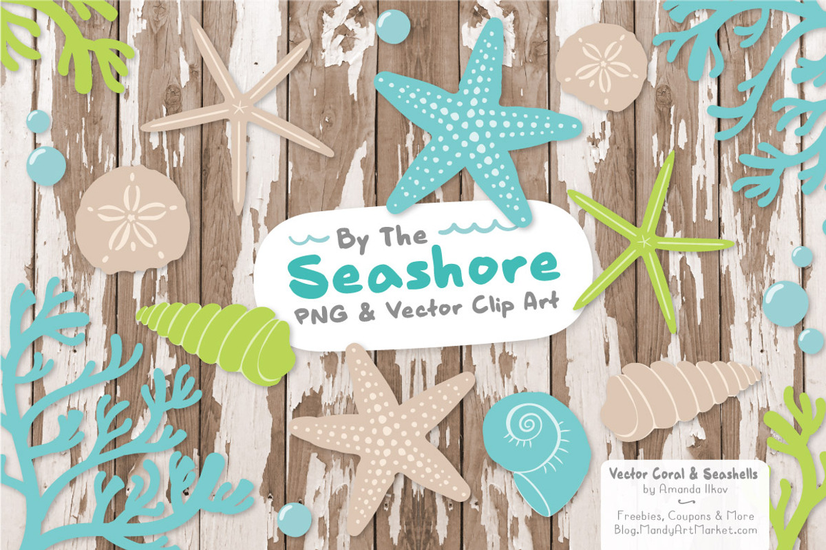 Fresh Vector Seashells, an Illustration by Amanda Ilkov (Photo 2 of 5)