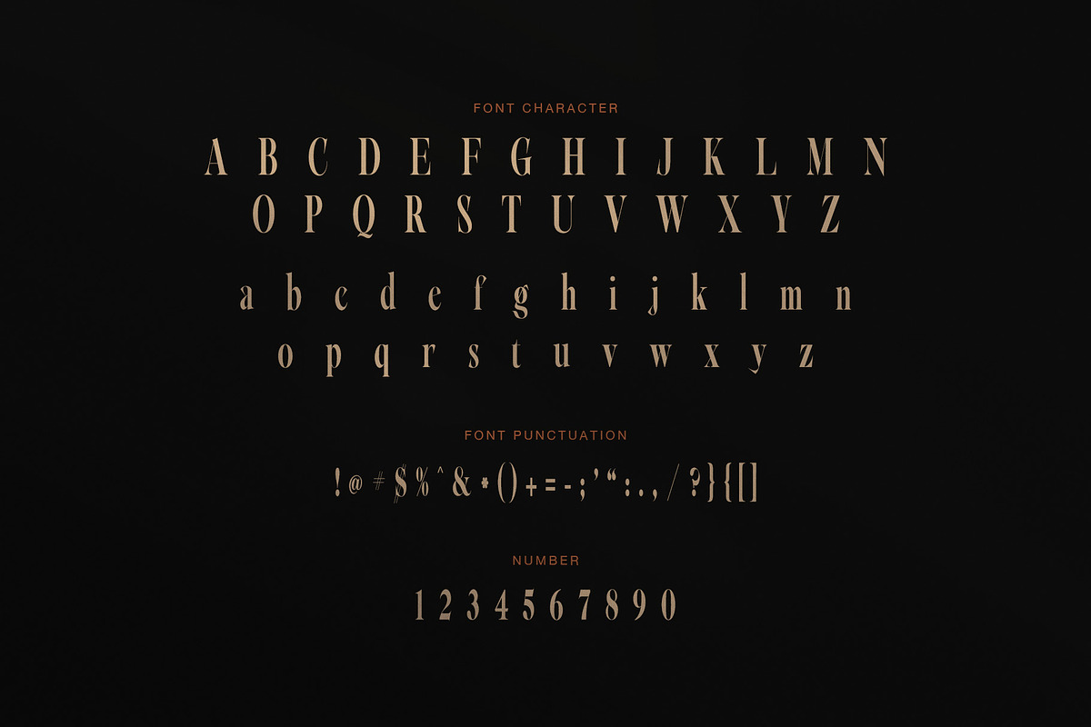 Karisma Elegant Serif Font, a Serif Font by Perfectype (Photo 7 of 8)