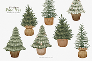 Watercolor Christmas Pine Tree Clipa, an Illustration by Balada Digital Art (Thumbnail 3 of 6)