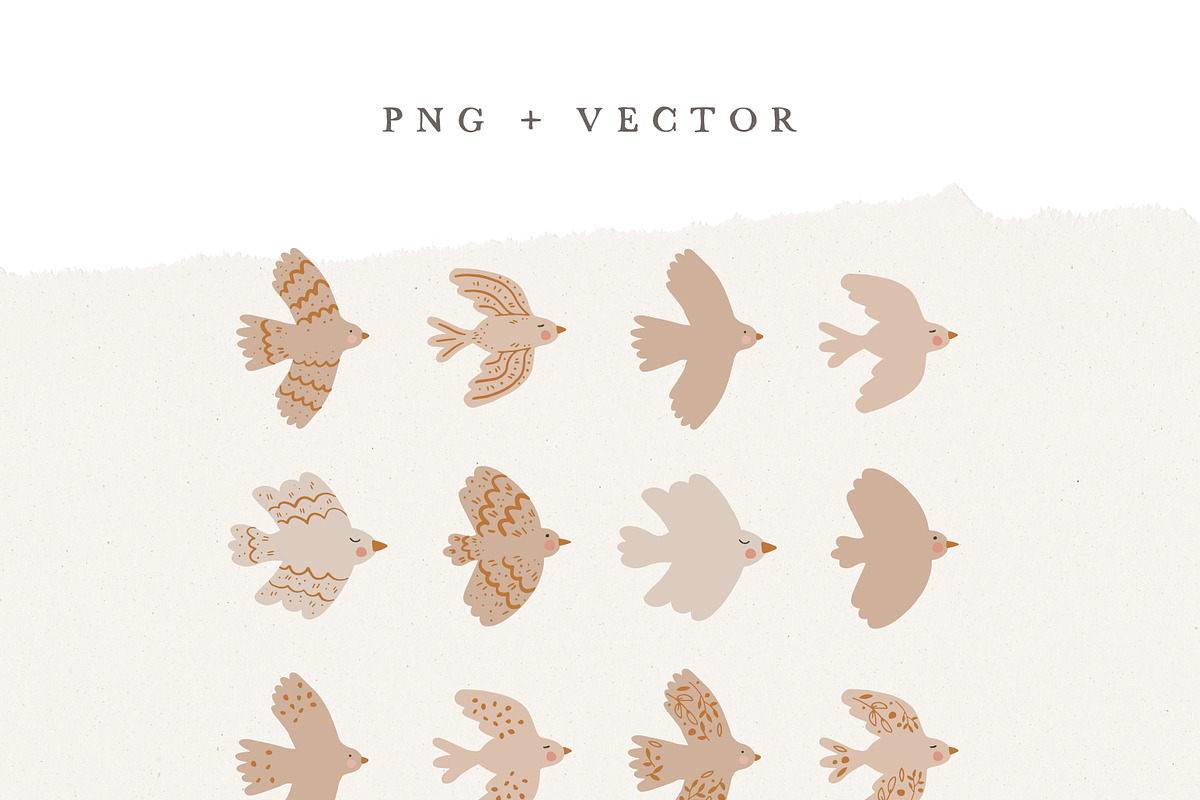 BIRDS BOHO BEIGE / vector & png, an Illustration by KruthDesign (Photo 2 of 7)