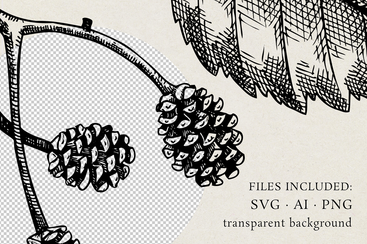 Vintage Forest Illustrations Set, an Object Graphic by Yevheniia (Photo 6 of 7)