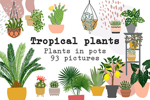 Tropical Plants Vector.