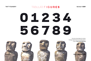 TA Film Fiction SemiX, a Sans Serif Font by TAFT Foundry (Thumbnail 3 of 14)