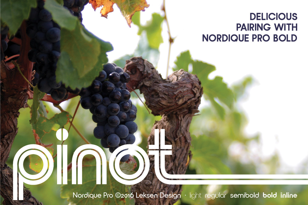 Nordique Pro Collection, a Sans Serif Font by Leksen Design (Photo 3 of 9)