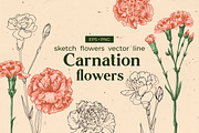 Flowers Сarnation. Sketch vector, an Illustration by irina.vaneeva (Thumbnail 1 of 3)