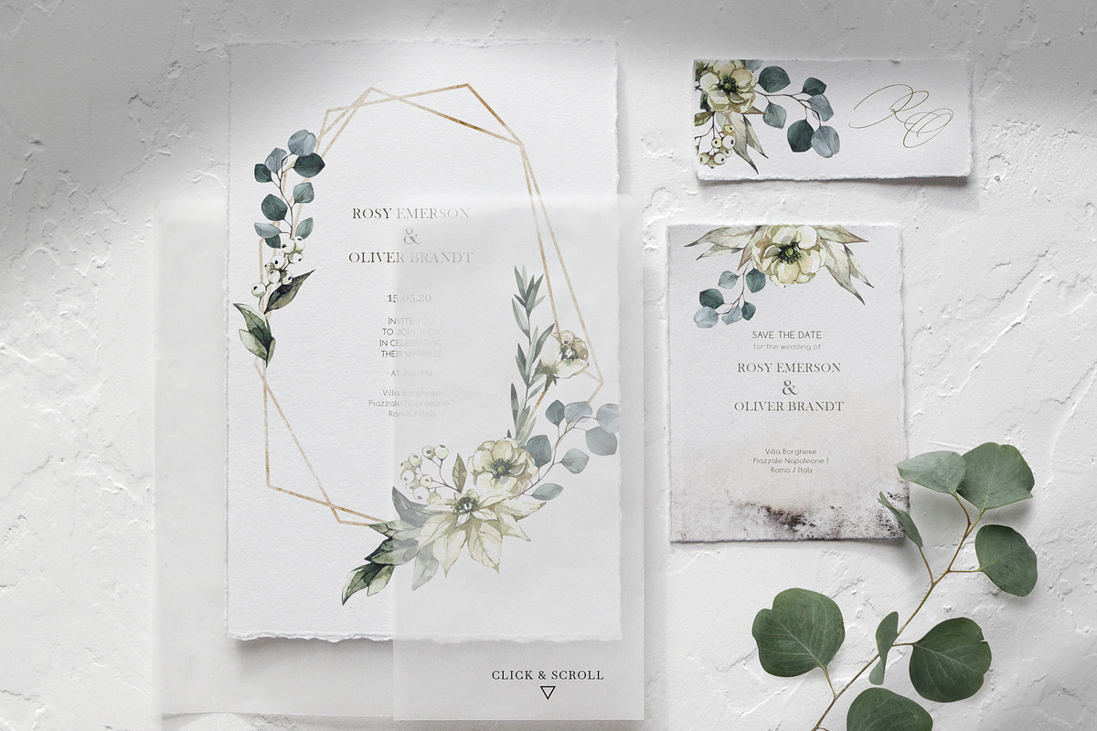 Forest Legends Winter animal set, a Seasonal Illustration by Anastezia Luneva (Photo 11 of 17)