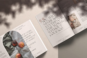 MOON CROWD - Elegant & Stylish Serif, a Serif Font by SilverStag Type Foundry (Thumbnail 14 of 26)