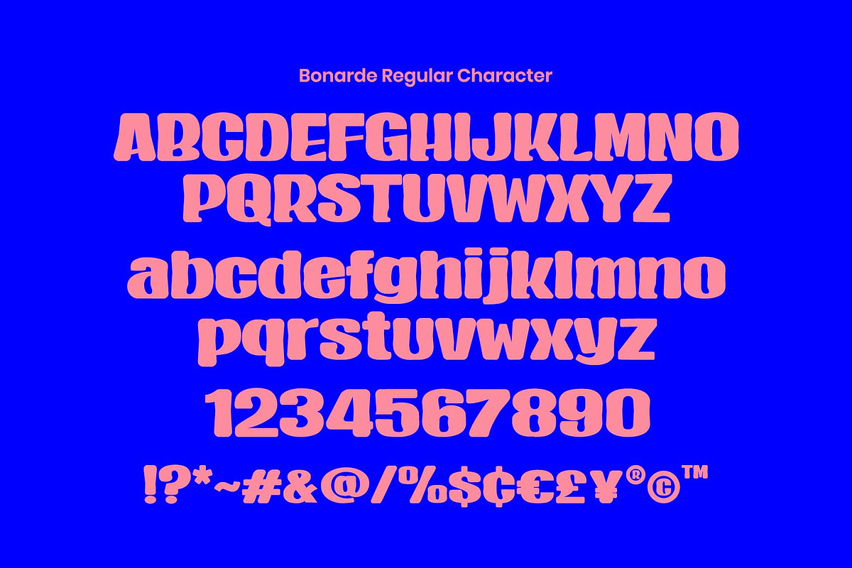 Bonarde a Sans Serif Display Font, a Sans Serif Font by Rasiorise Studio (Photo 3 of 12)