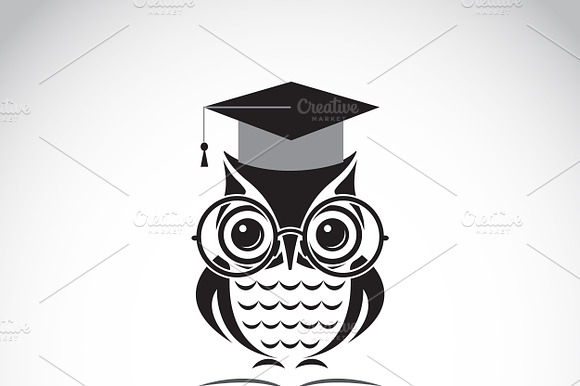 Owl Glasses With College Hat. Bird.
