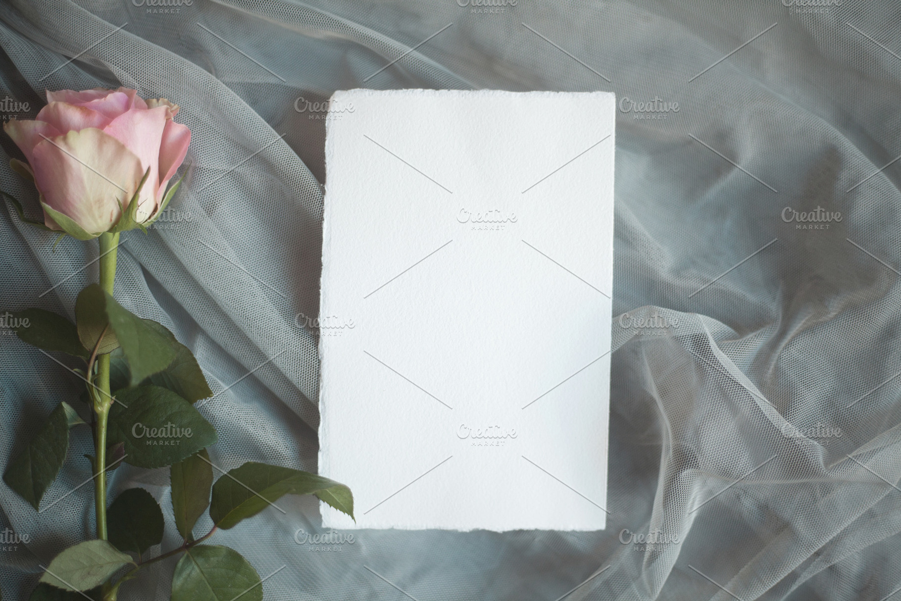Romantic Rose and Card Mock Up, an Arts & Entertainment Photo by Wonderland Styled Stock