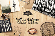 Northern Wilderness Collection: Tree, an Illustration by Barn Owl Studio (Thumbnail 1 of 6)