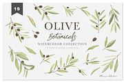 OLIVE BOTANICALS Watercolor & Line, a Work Illustration by Momo Studio (Thumbnail 6 of 15)