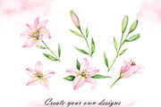 Pink lilies watercolor clipart set, an Illustration by OlDm_Shop (Thumbnail 9 of 10)