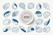 Ocean Shells Illustration, an Object Illustration by KetteCreate (Thumbnail 6 of 17)