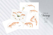 Watercolor Shrimp Life Cycle Set, an Education Illustration by MayaNavits (Thumbnail 5 of 7)