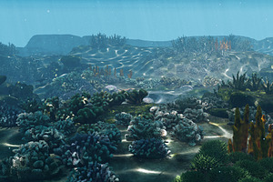 Underwater Coral Reef Habitat Ocean