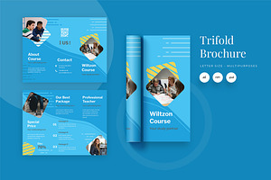 Trifold Education, a Flyer Template by TMint Play