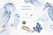 Ocean Memories Underwater Collection, an Animal Illustration by beehouse studio (Thumbnail 5 of 12)