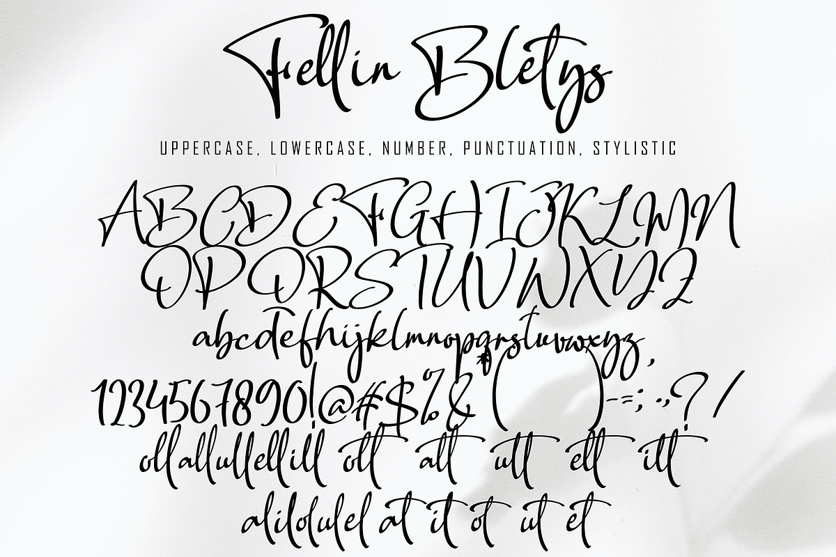 Fellin Blettys, a Script Font by pineungtype (Photo 8 of 8)