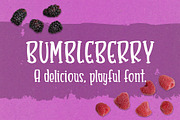 Bumbleberry - a silly serif font, a Serif Font by Little Type Factory (Thumbnail 8 of 8)